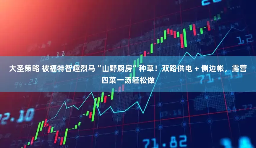 大圣策略 被福特智趣烈马“山野厨房”种草！双路供电 + 侧边帐，露营四菜一汤轻松做